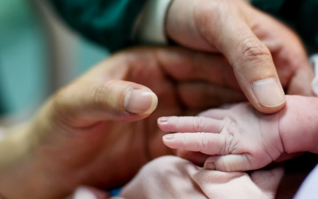 Interdites De Congeler Leurs Ovules À La Maison, Des Femmes Chinoises Célibataires Voyagent Ailleurs