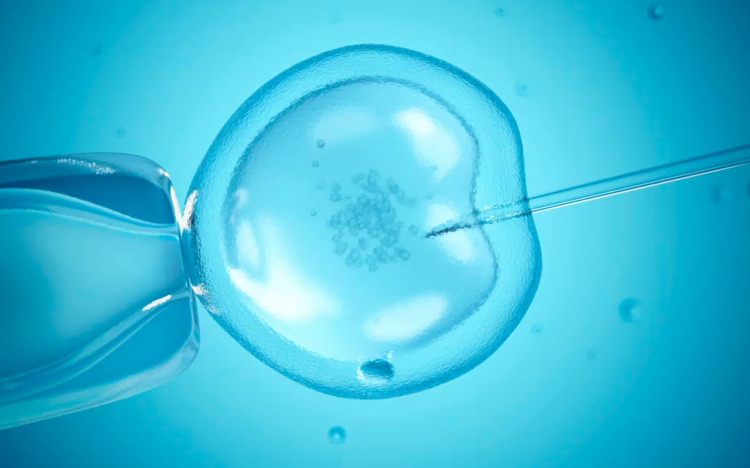 Procréation dans l’espace: une entreprise néerlandaise va tenter une fécondation in vitro