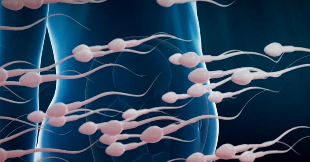L’inquiétant déclin du sperme