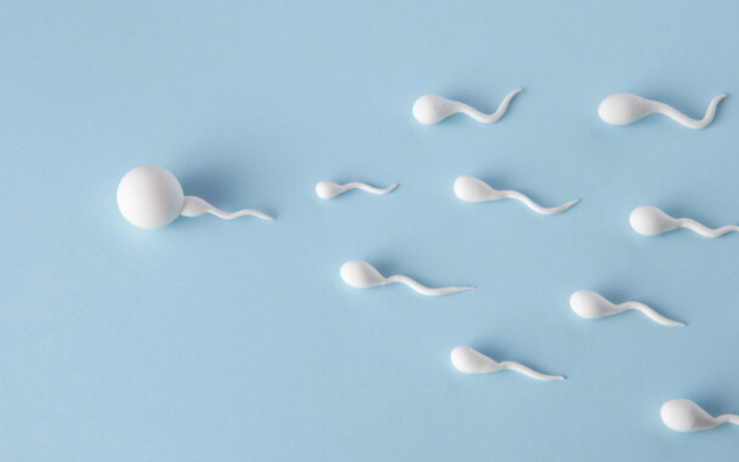 PMA : l’automatisation de l’analyse de sperme au CHRSM – Site Meuse