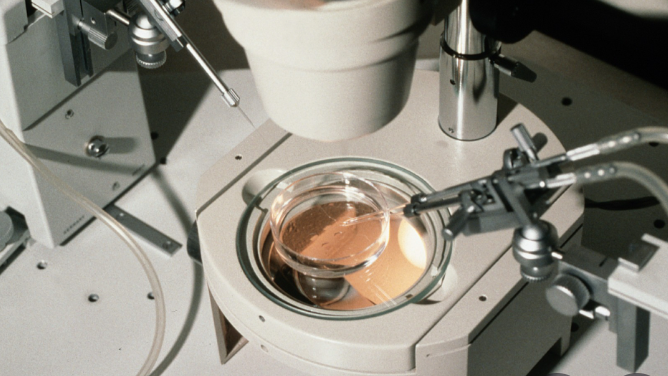 FDA approves at-home insemination kit