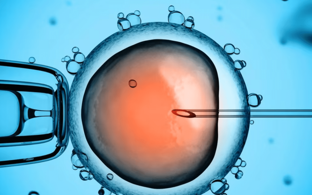 GPA, création de gamètes artificiels, clonage reproductif, utérus artificiel, modifications du génome : les avancées de la médecine de reproduction
