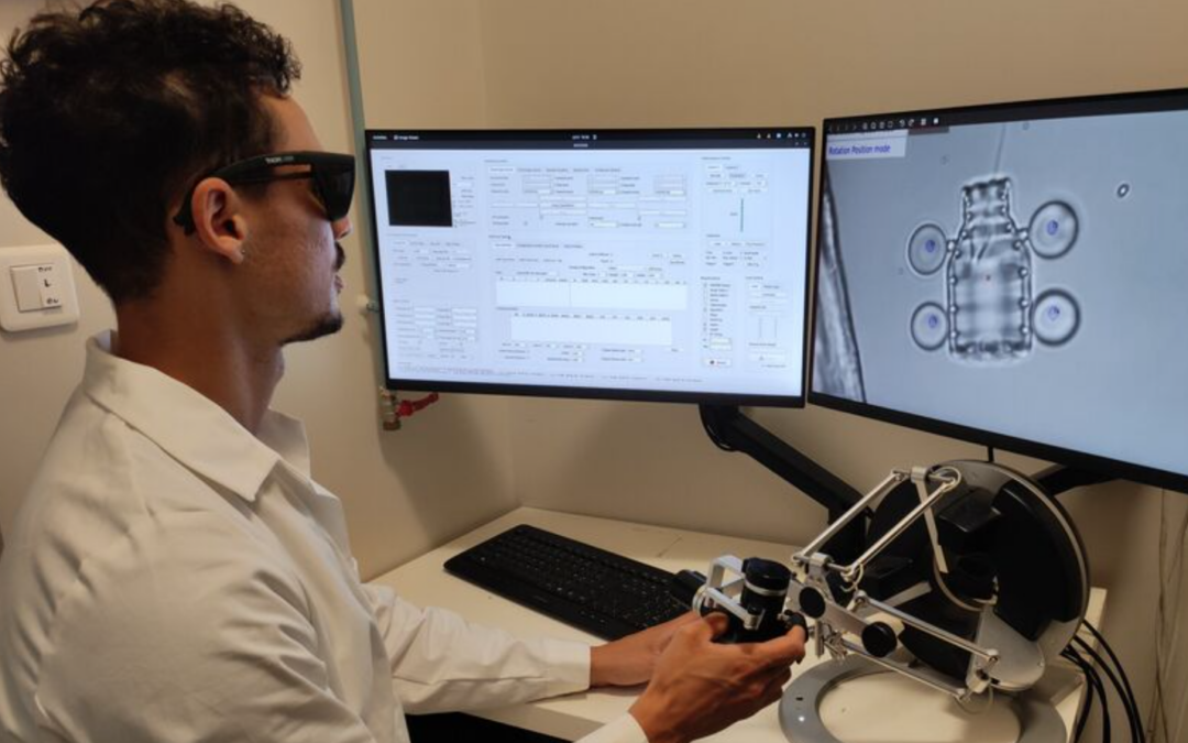 Des microrobots pour fiabiliser les fécondations in vitro