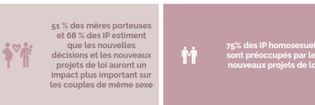 Rapport 2024 sur les couples LGBTQ+ et leur droit à la fécondation in vitro et à la GPA